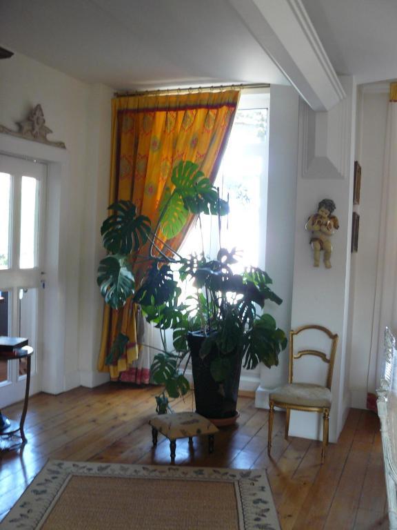 Chambres D'Hotes L'Albinque Кастр Экстерьер фото
